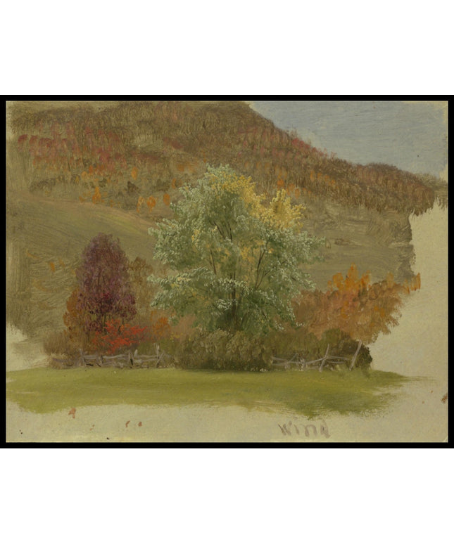 Autumn Landscape