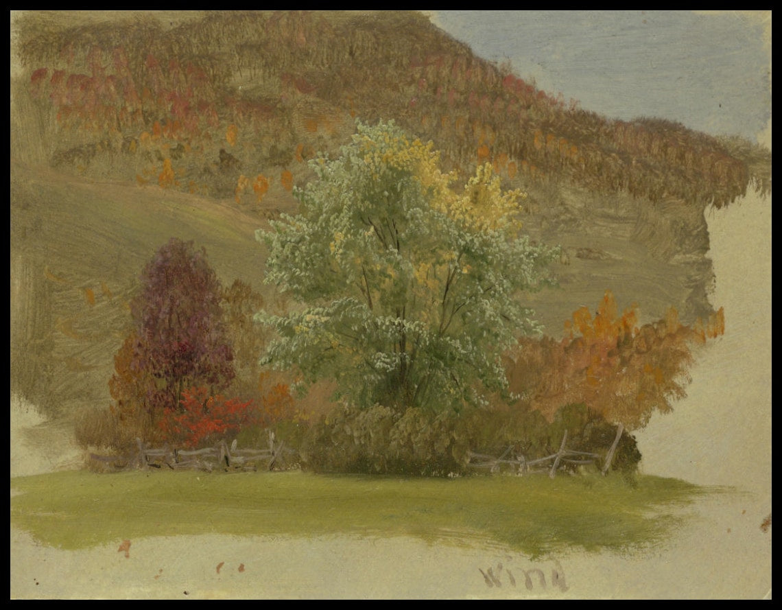 Paysage d'automne