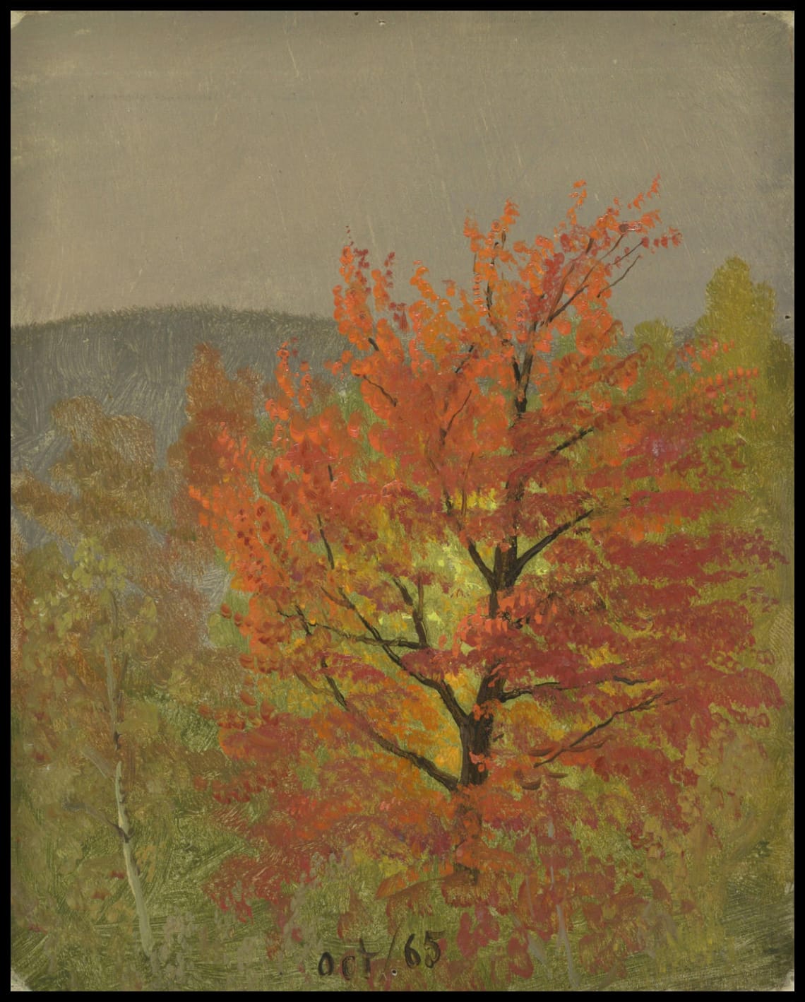 Paysage d'automne Vermont