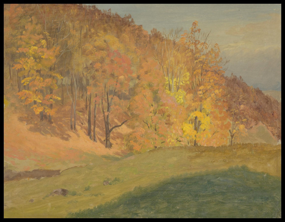 Bois d'automne