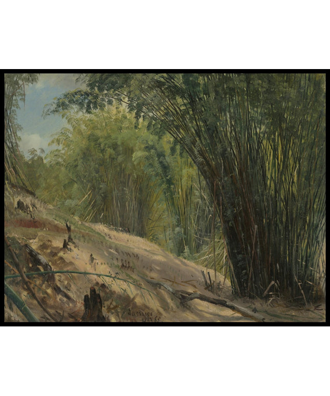 Bamboo Grove Jamaica