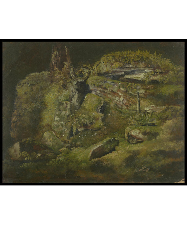 Boulder in the Woods