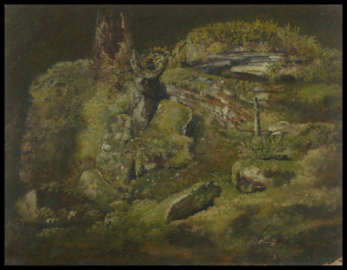 Boulder in the Woods