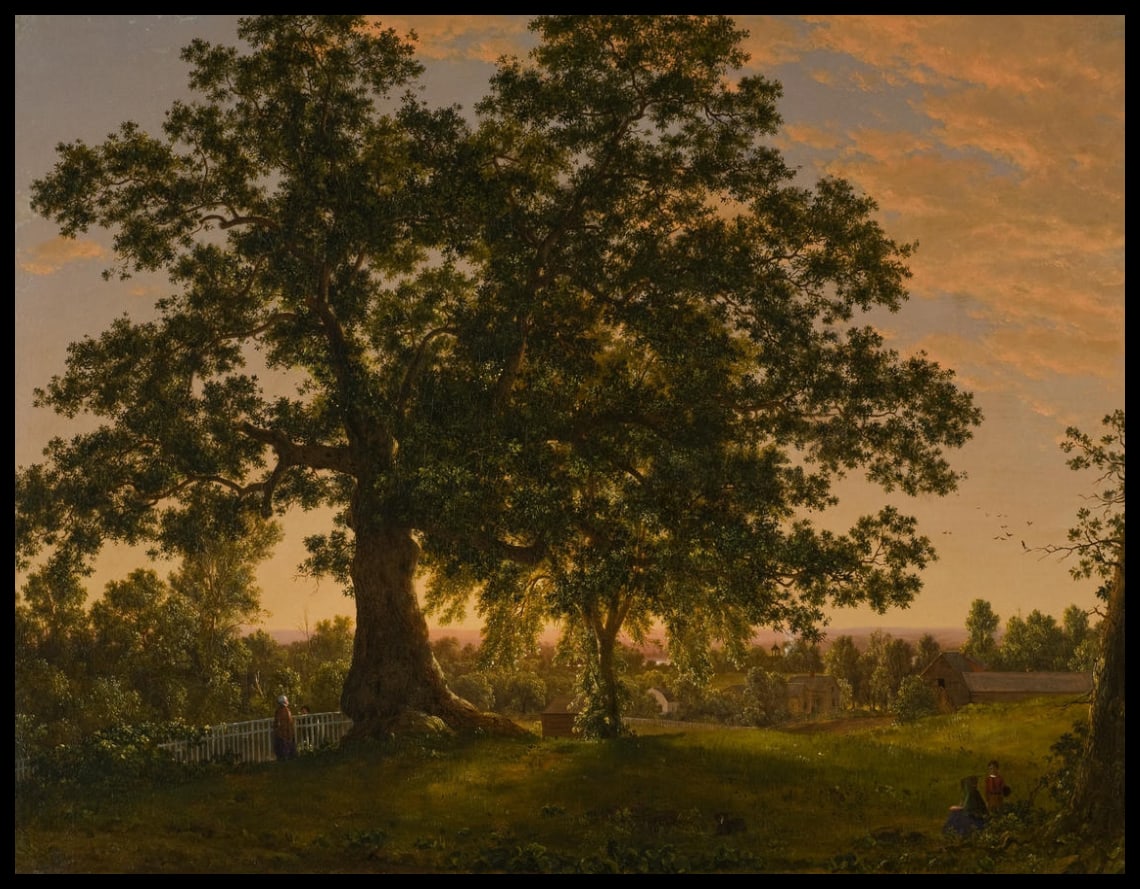 Charte Oak