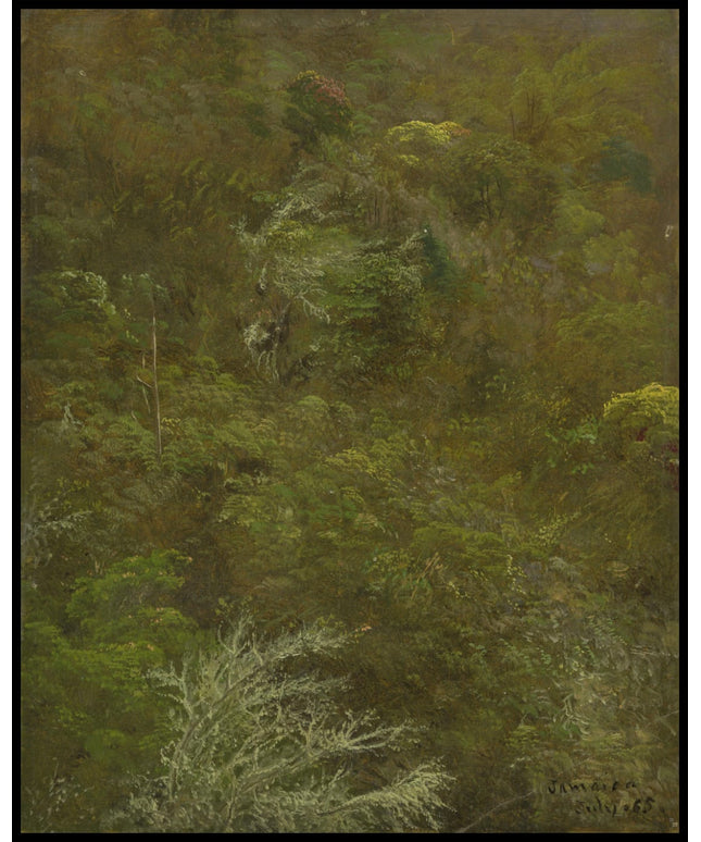 Hillside, Bushes and Trees