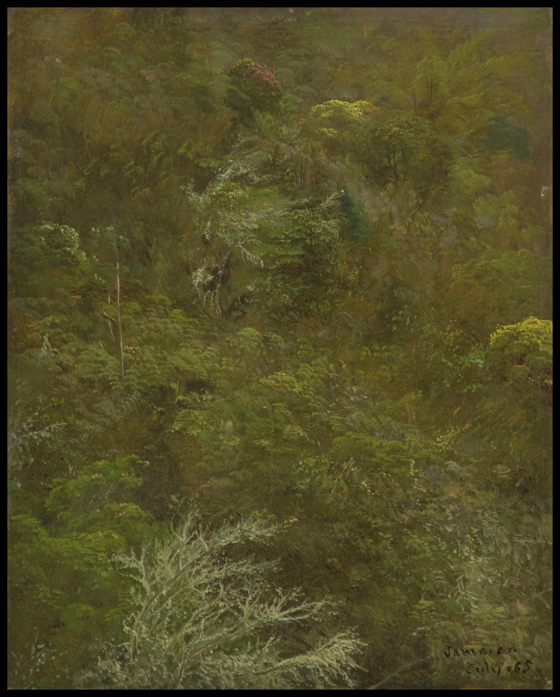 Hillside, bushs and trees
