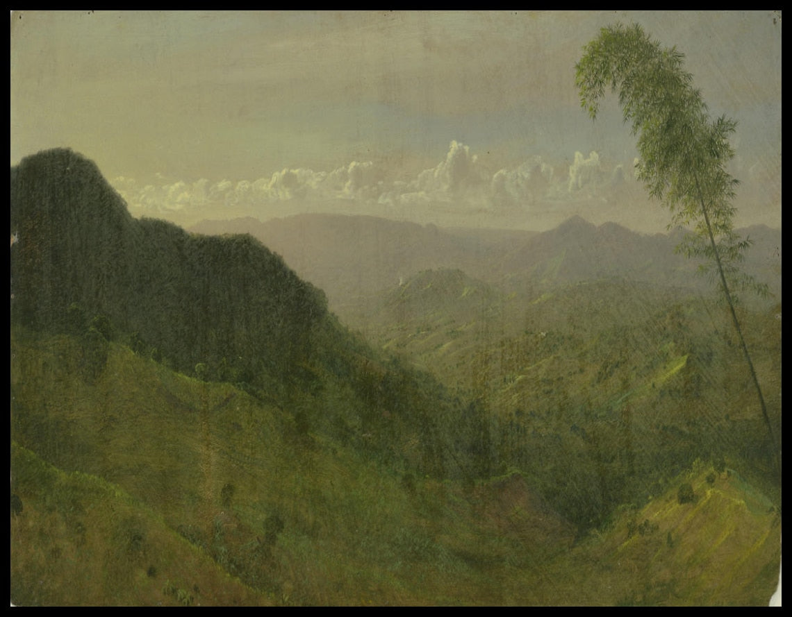Paysage de colline