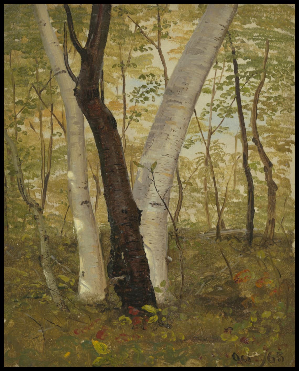 Dans les bois Hudson New York