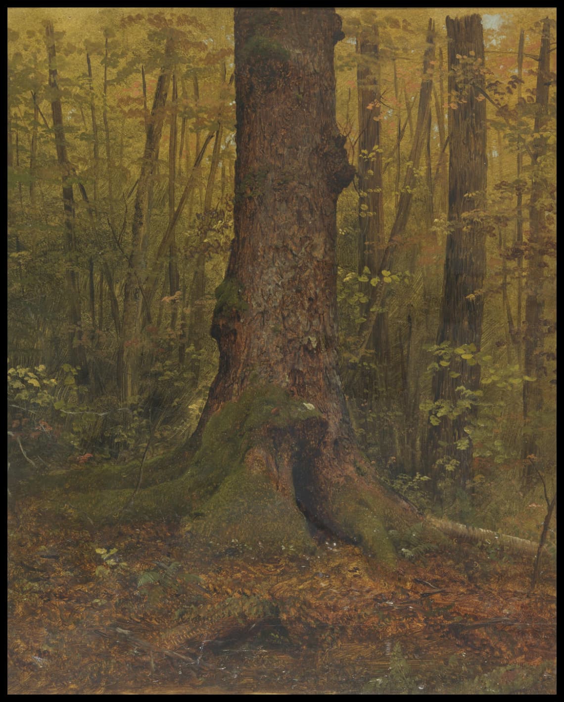 Dans les bois