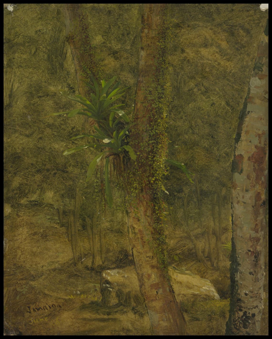Scène de la jungle