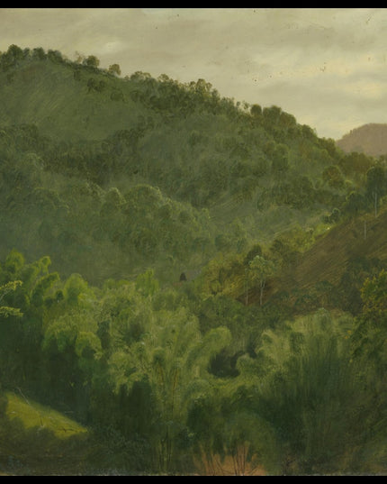 Landscape from Jamaica