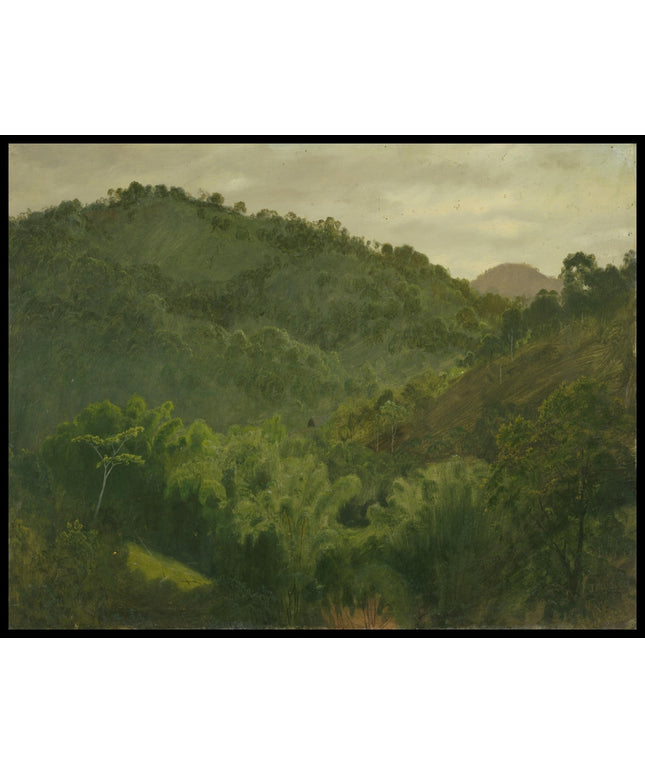 Landscape from Jamaica