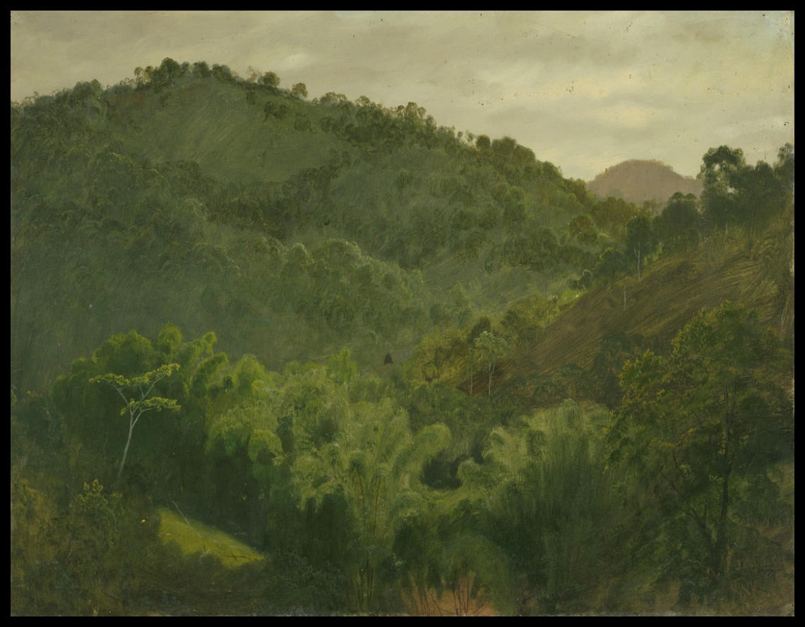 Paysage de Jamaïque