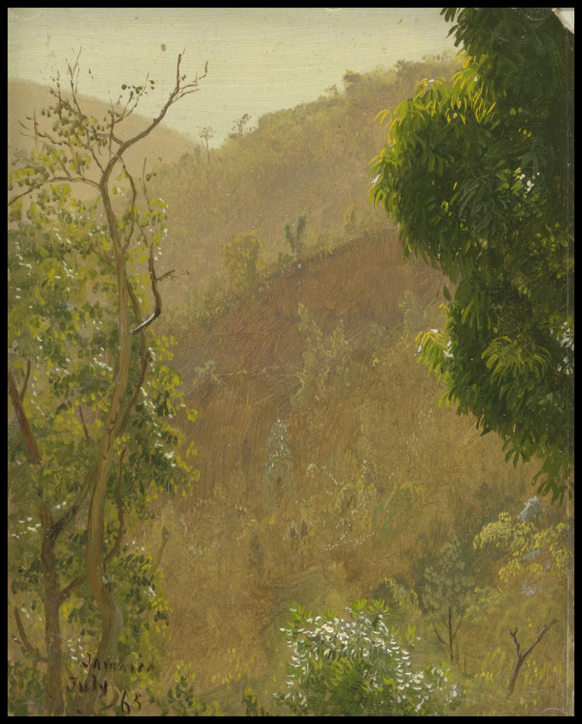 Paysage