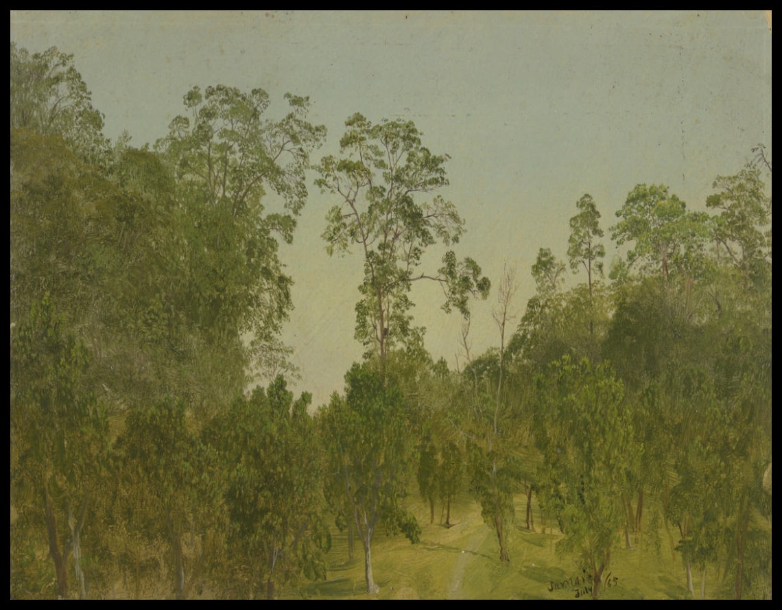 Paysage