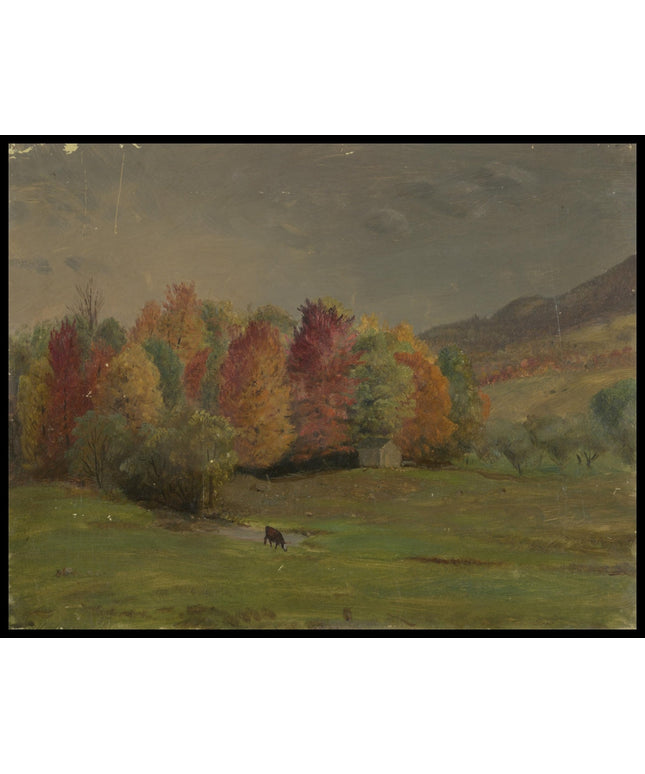 Maine or Canada Seacoast