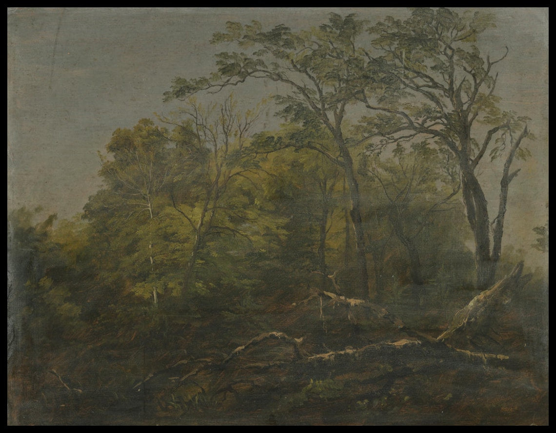 Bois du Maine