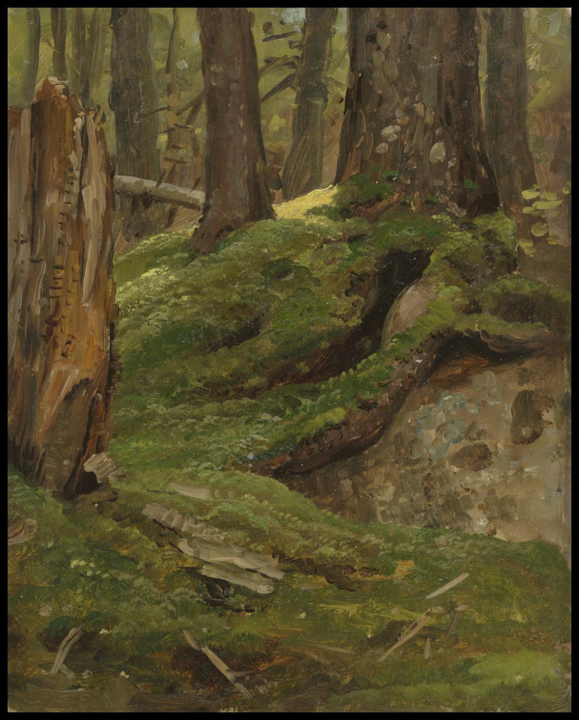 Bois du Maine