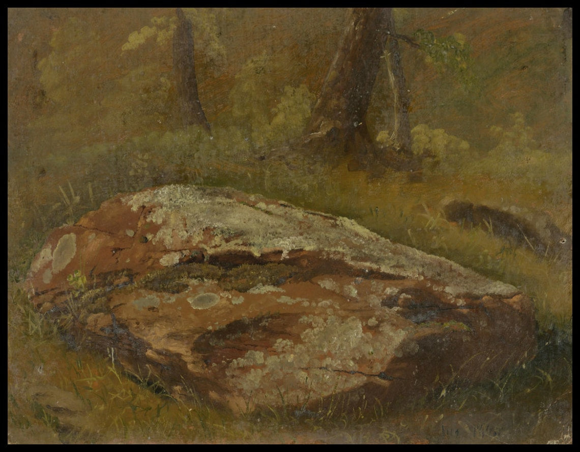 Roche mossy