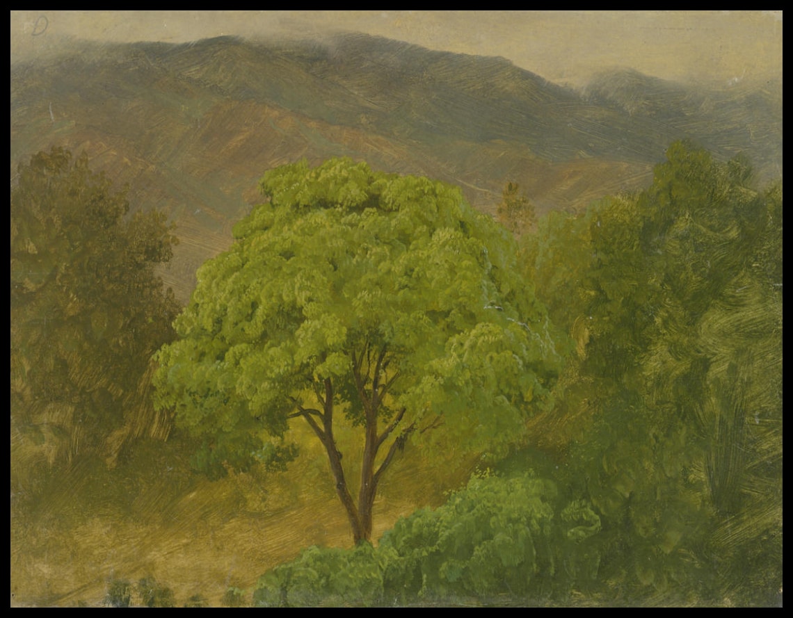 Paysage de montagne