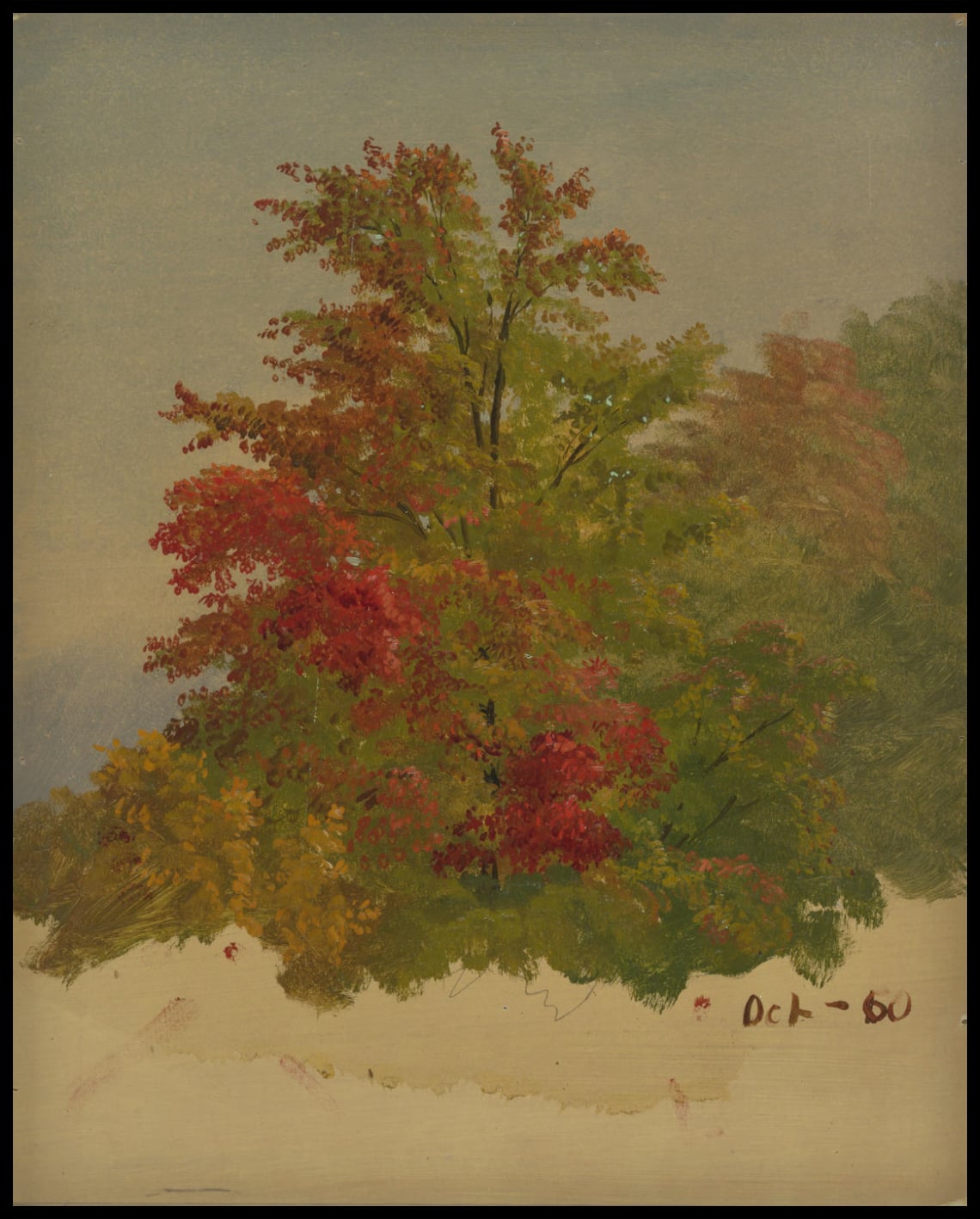 Paysage de l'île du Mont Désert