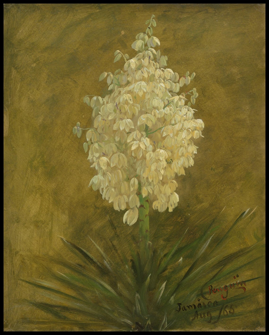 Plant in Blossom