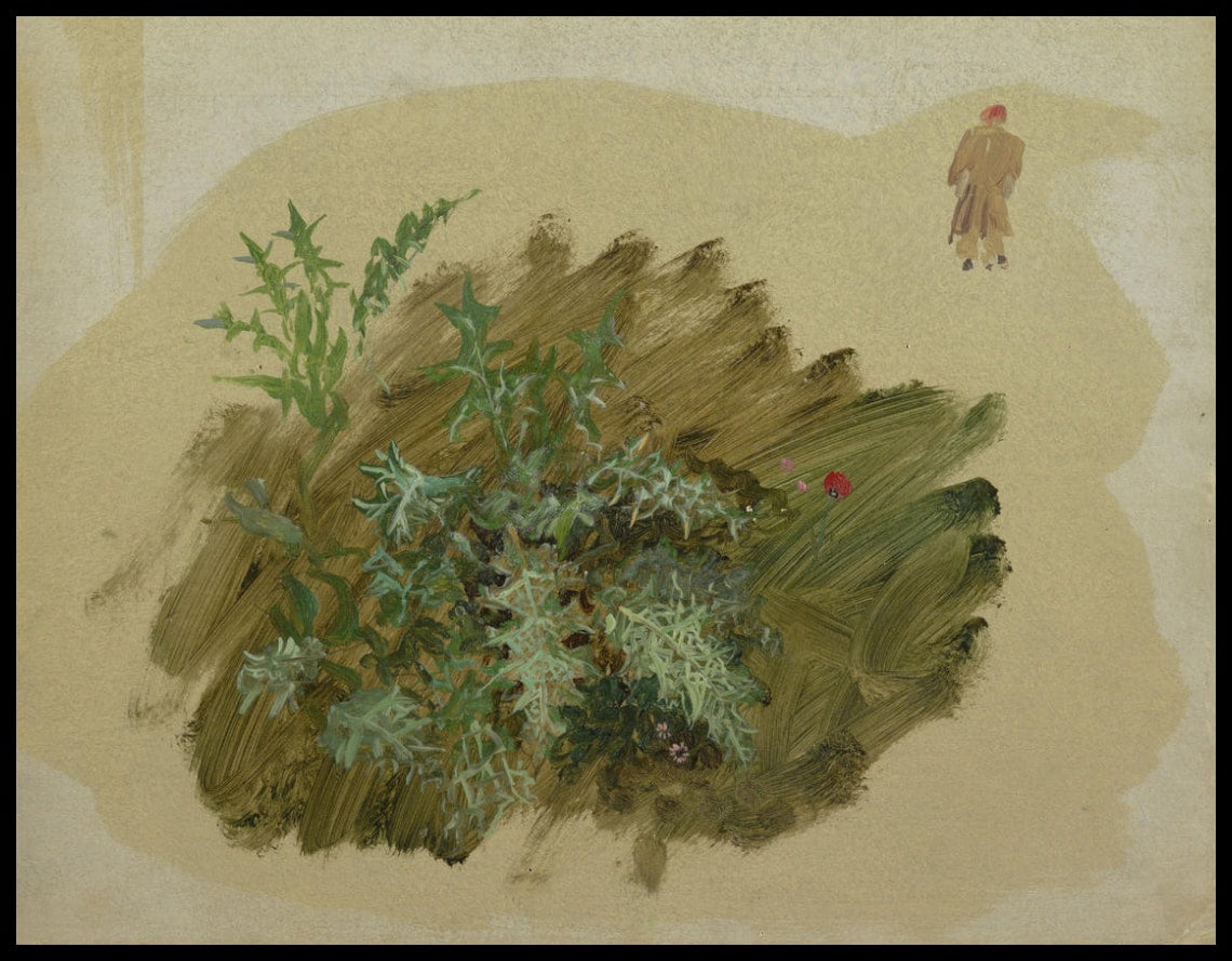 Études de plantes
