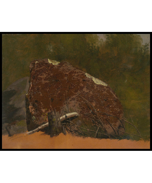 Mount Desert Island Rock