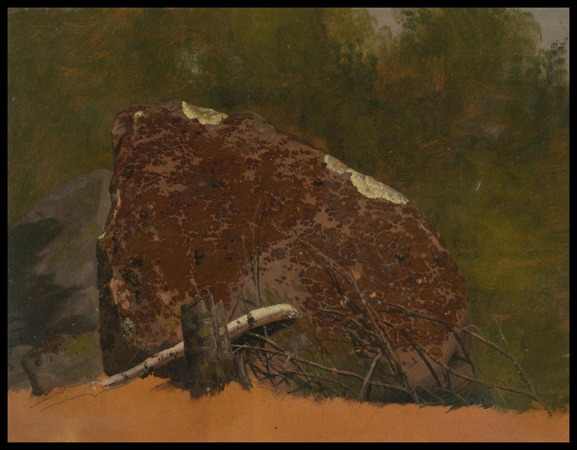 Mount Desert Island Rock