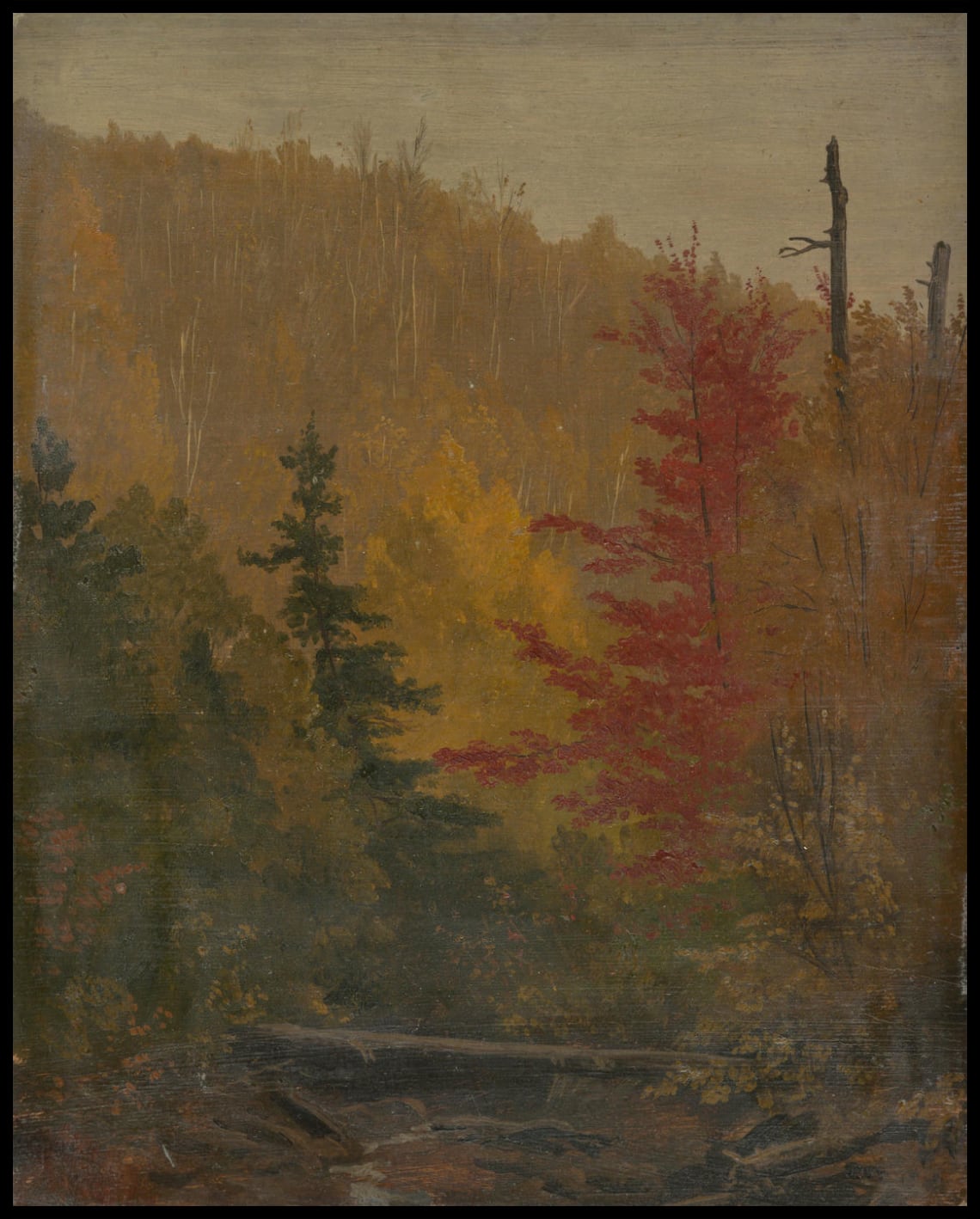 Katahdin Automne