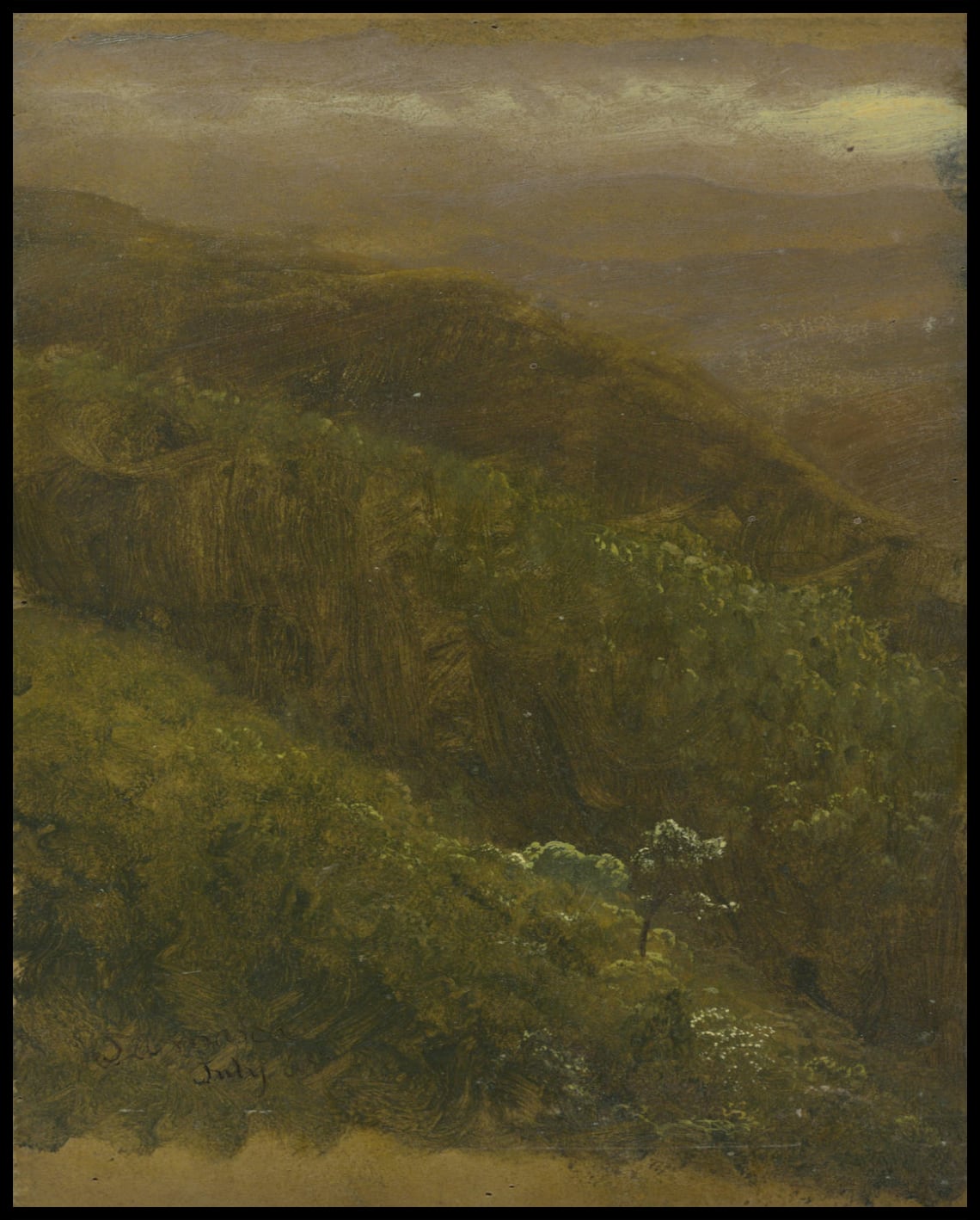 Steep Hillside