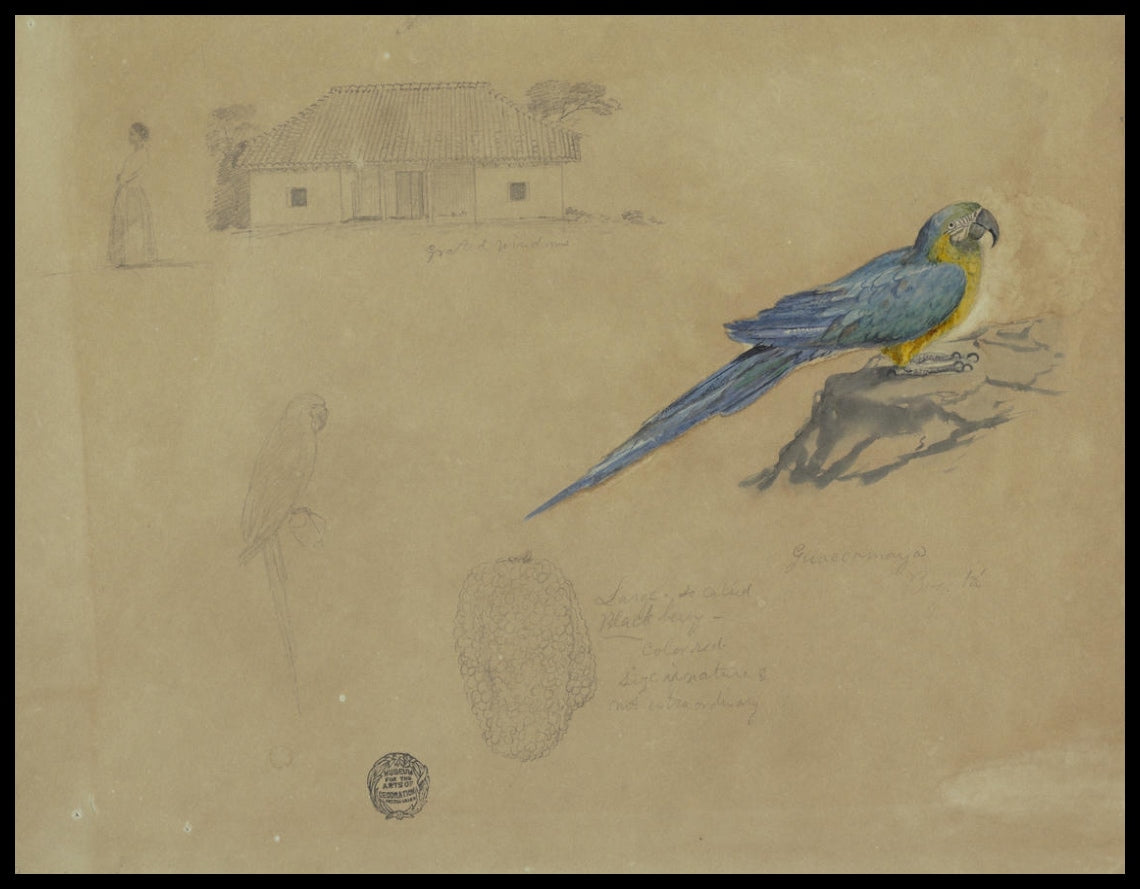 Étude de Guacamaya, Bogotá, Colombie