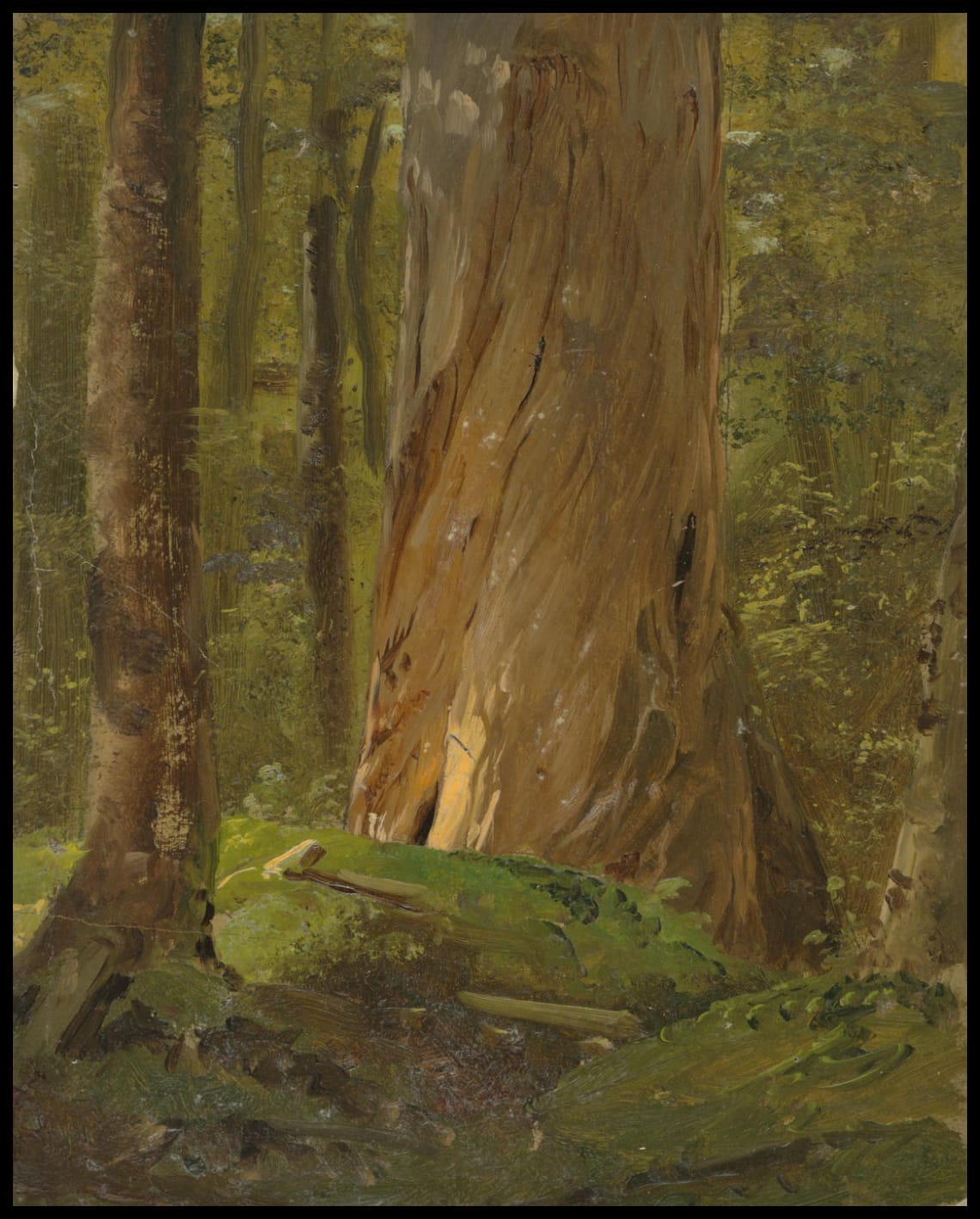 Étude dans les bois du Maine
