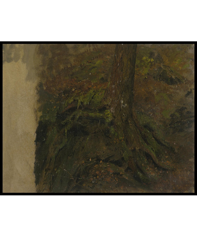 Study of a Tree Trunk