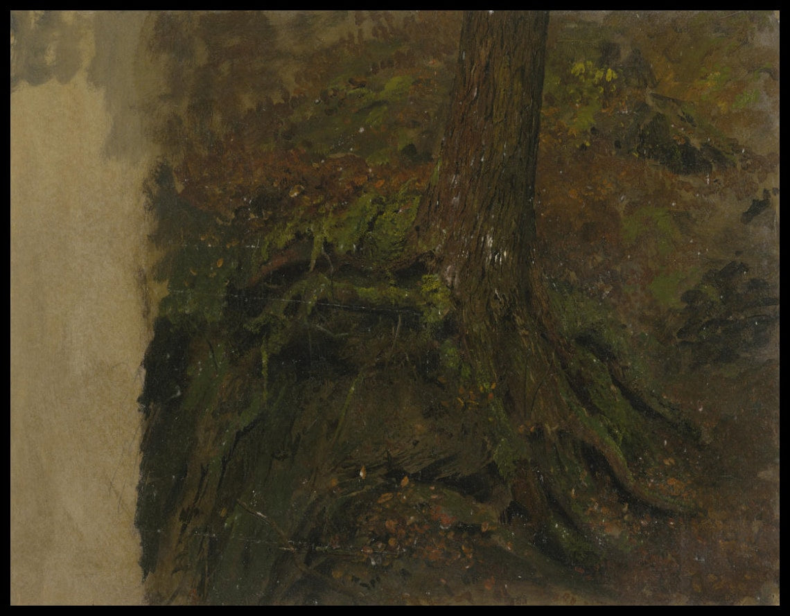 Étude d'un tronc d'arbre
