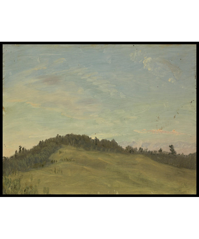Summer Landscape