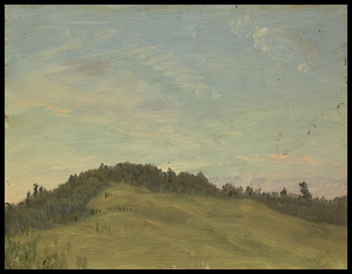 Paysage d'été
