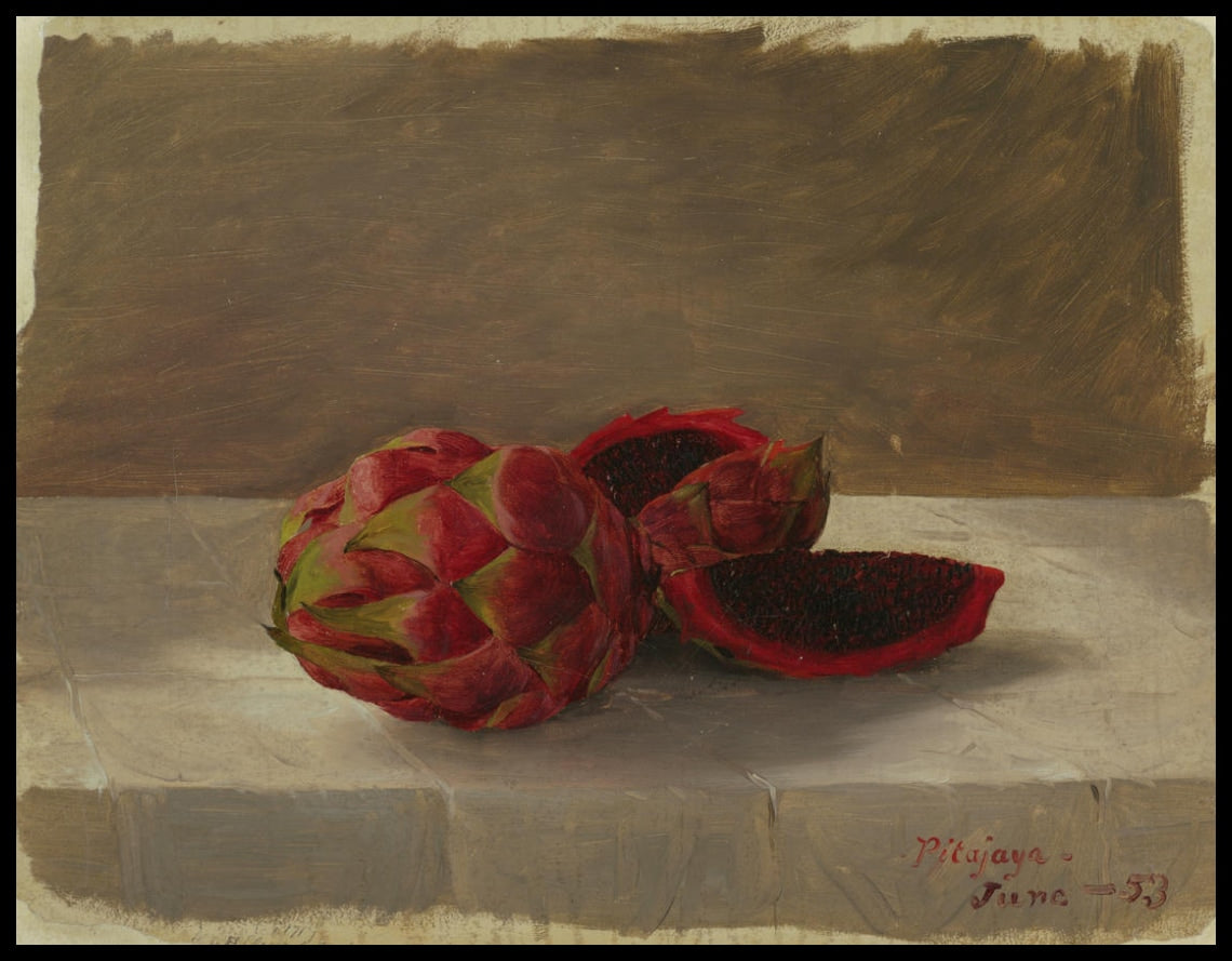 Le fruit pitajaya