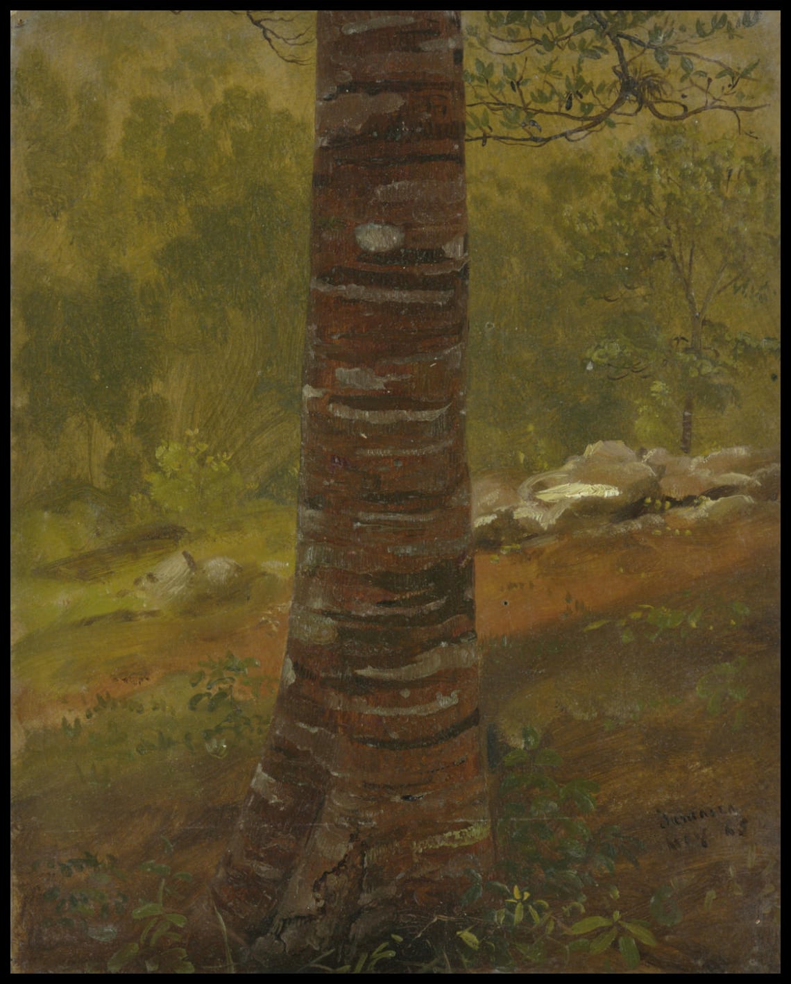 Tronc d'arbre