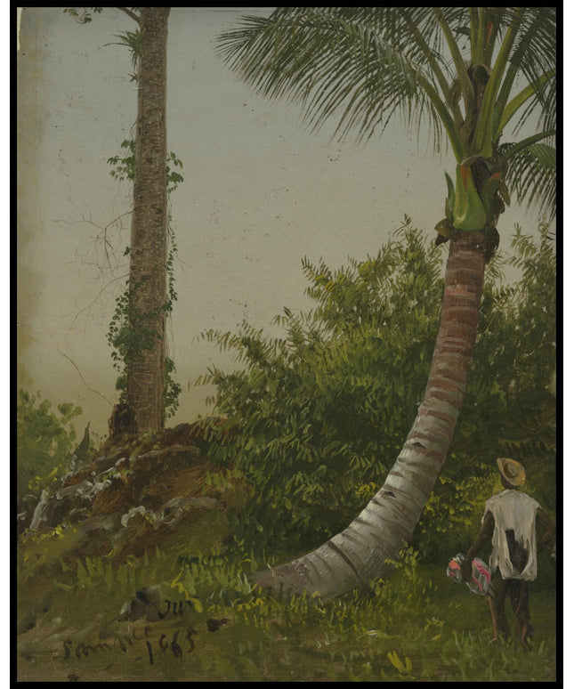 Trees in Jamaica West Indies