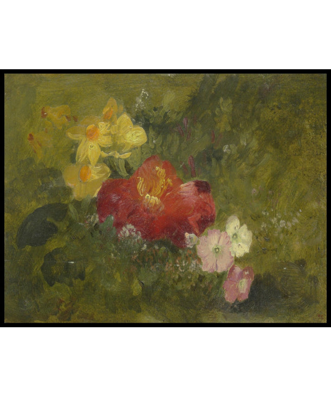 Wild Flowers Jamaica