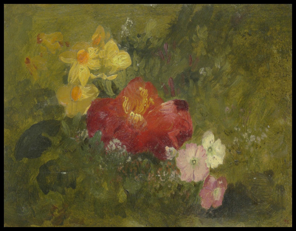 Fleurs sauvages de Jamaïque