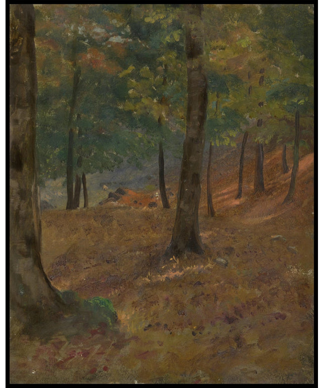Woodland Scene