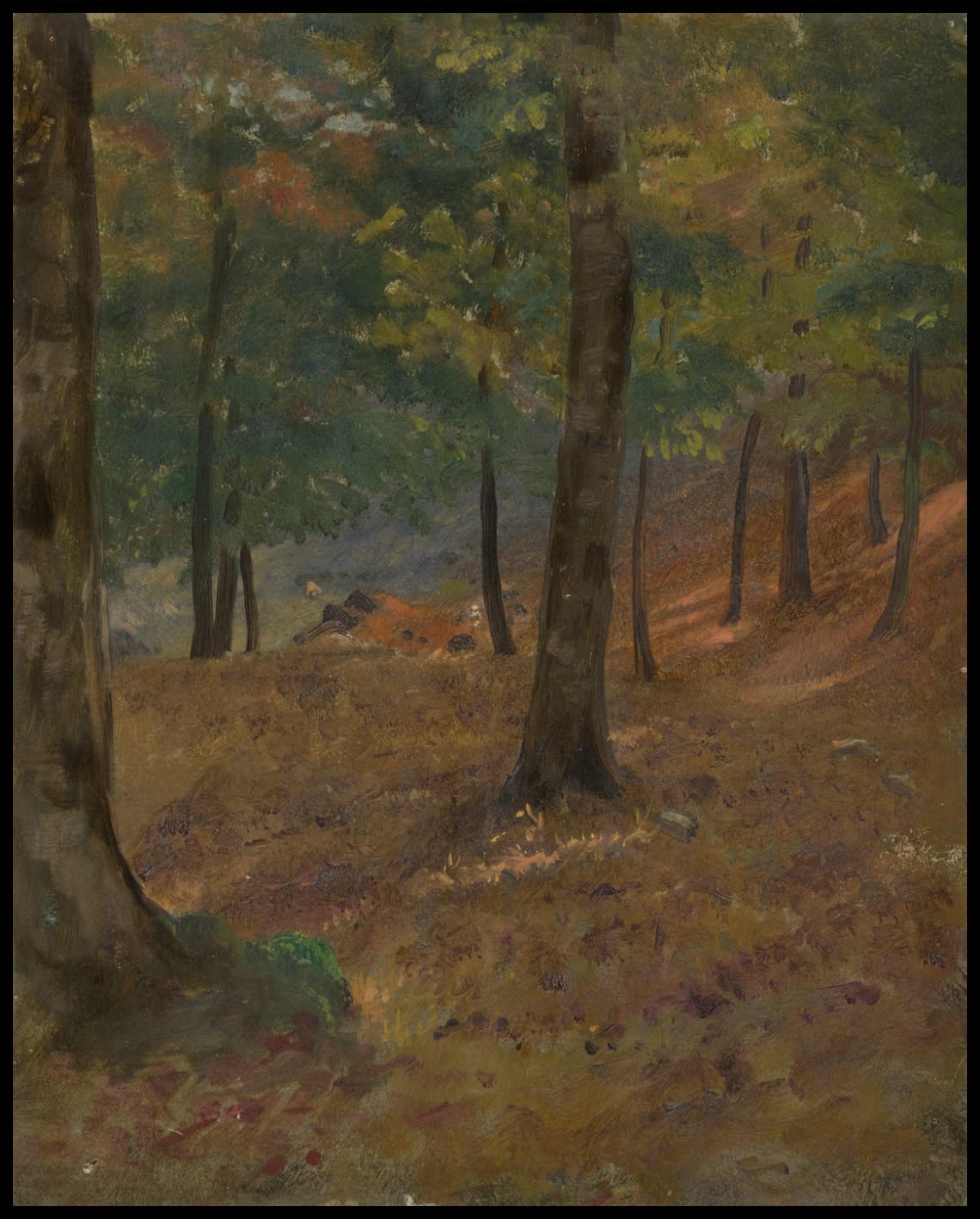 Scène de la forêt