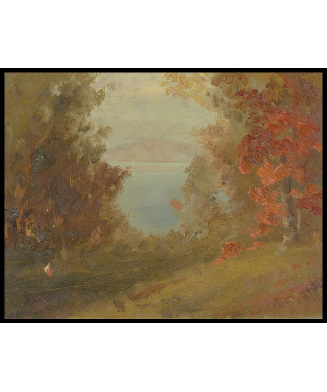 Woodland Scene in Autumn