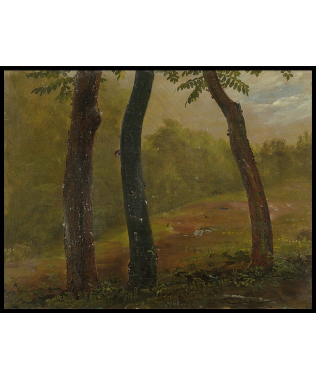 Woodland Scene Jamaica