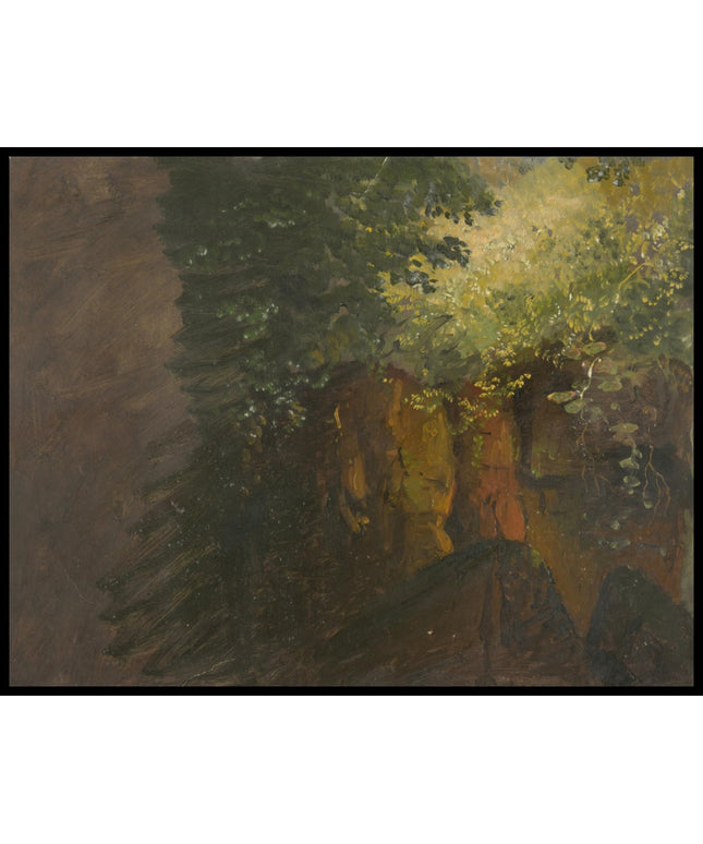 Woodland Scene with Rocks