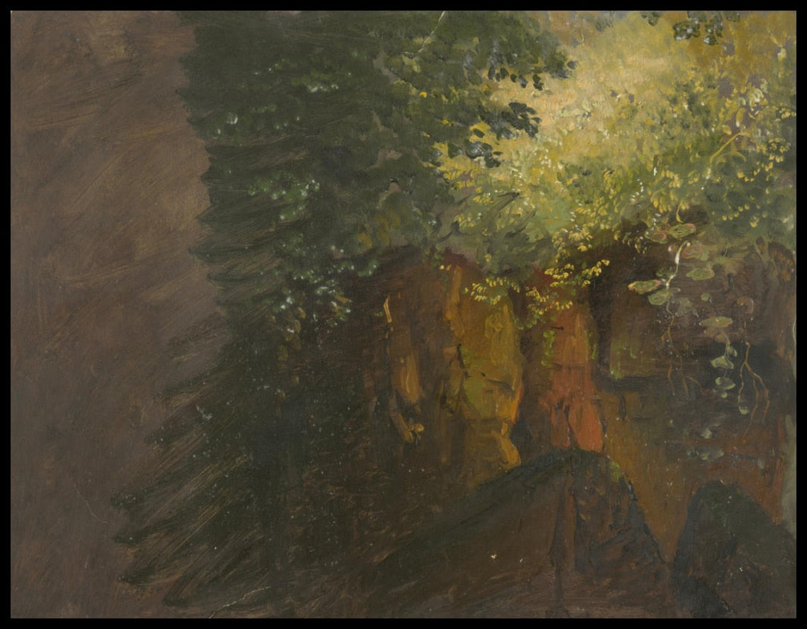 Scène de forêt avec rochers
