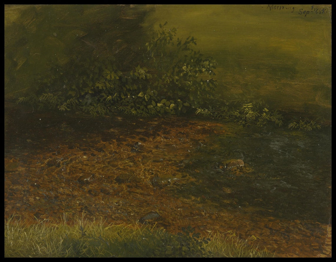 Woodland Stream dans les Catskills