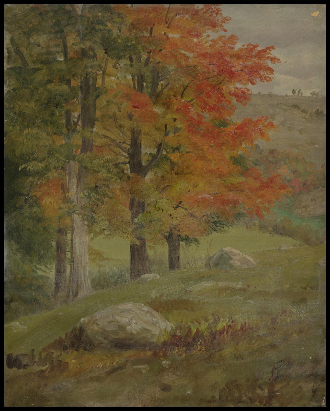 Bois en automne